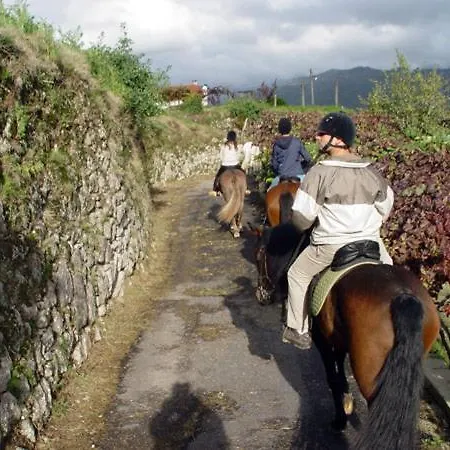 Quinta Do Castelo Arcos de Valdevez