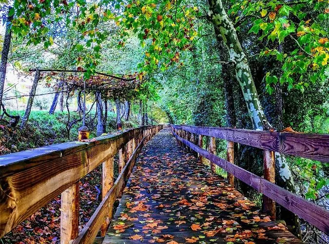 Quinta Do Castelo 펜션 *