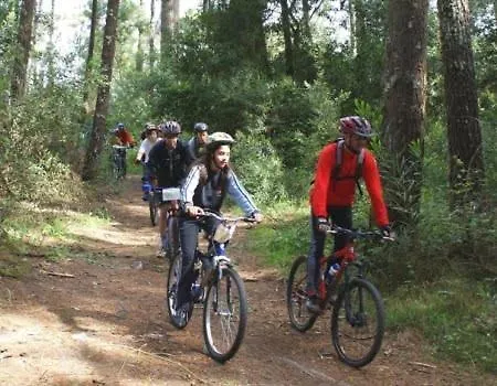 Quinta Do Castelo Semesterbostad *